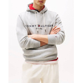 Product TOMMY HILFIGER TOMMY LOGO HOODY thumbnail image