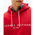 Product TOMMY HILFIGER TOMMY LOGO HOODY thumbnail image