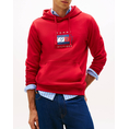 Product TOMMY HILFIGER LINEAR FLAG GRAPHIC HOODIE thumbnail image