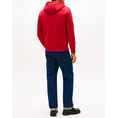 Product TOMMY HILFIGER LINEAR FLAG GRAPHIC HOODIE thumbnail image