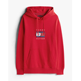 Product TOMMY HILFIGER LINEAR FLAG GRAPHIC HOODIE thumbnail image