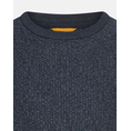 Product CAMEL ACTIVE Knitted Pullover Crewneck thumbnail image