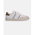 Product TOMMY HILFIGER LOW CUT LACE-UP SNEAKER thumbnail image