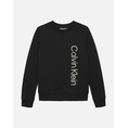 Product CALVIN KLEIN TERRY SIDE GRAPHIC CN SWEATSHIRT thumbnail image