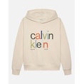Product CALVIN KLEIN COLOR LOGO GRAPHIC TERRY HOODIE thumbnail image