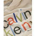 Product CALVIN KLEIN COLOR LOGO GRAPHIC TERRY HOODIE thumbnail image