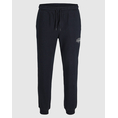 Product JACK&JONES JPSTGORDON MAKOTO SWEAT PANTS JNR thumbnail image