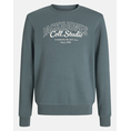 Product JACK&JONES JJMAKOTO SWEAT CREW NECK JNR thumbnail image