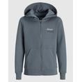 Product JACK&JONES JJELOGO SWEAT ZIPHOOD 2COL NOOS JNR thumbnail image