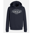 Product JACK&JONES JJMAKOTO SWEAT HOOD UB JNR thumbnail image