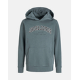 Product JACK&JONES JJECALEB VARSITY SWEAT HOOD NOOS JNR thumbnail image