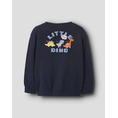 Product NAME IT NMMVASHA LS NREG SWEAT UNB thumbnail image