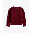Product TOMMY HILFIGER COTTON CABLE CREST C-NK SWEATER thumbnail image