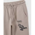Product OVS TROUSERS DINO thumbnail image