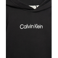Product CALVIN KLEIN JEANS INST. LOGO REG. TERRY HOODIE thumbnail image