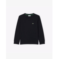 Product LACOSTE ΜΠΛΟΥΖΑ ΜΜ ICON CORE L/S TEE thumbnail image
