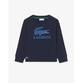 Product LACOSTE ΜΠΛΟΥΖΑ ΚΜ LOGO GRAPHIC CORE L/S TEE thumbnail image