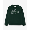Product LACOSTE ΜΠΛΟΥΖΑ ΦΟΥΤΕΡ ΜΜ thumbnail image