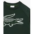 Product LACOSTE ΜΠΛΟΥΖΑ ΦΟΥΤΕΡ ΜΜ thumbnail image
