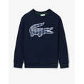 Product LACOSTE ΜΠΛΟΥΖΑ ΦΟΥΤΕΡ ΜΜ thumbnail image