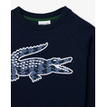 Product LACOSTE ΜΠΛΟΥΖΑ ΦΟΥΤΕΡ ΜΜ thumbnail image