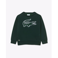 Product LACOSTE ΜΠΛΟΥΖΑ ΦΟΥΤΕΡ ΜΜ thumbnail image