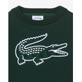 Product LACOSTE ΜΠΛΟΥΖΑ ΦΟΥΤΕΡ ΜΜ thumbnail image