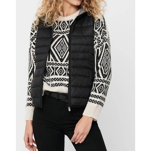 Product ONLY ΜΠΟΥΦΑΝ ONLNEWTAHOE HOOD WAISTCOAT OTW NOOS base image