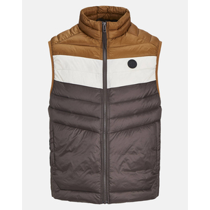 Product JACK&JONES JJESPRINT BODYWARMER COLLAR NOOS base image