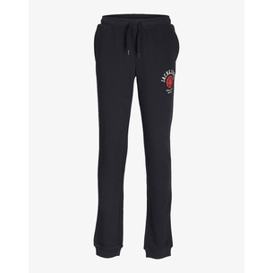 Product JACK&JONES ΠΑΝΤΕΛΟΝΙ ΦΟΡΜΑΣ JPSTLOGO SWEAT PANT 2 COL 22/23 NOOS JNR base image