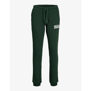 Product JACK&JONES JPSTGORDON JJNEWSOFT SWEAT PANT NOOS JNR base image