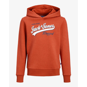 Product JACK&JONES JJELOGO SWEAT HOOD 2 COL 22/23 NOOS JNR base image