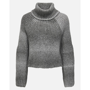 Product ONLY ONLDITTE LS ROLLNECK KNT base image