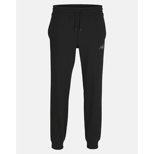 Product JACK&JONES JPSTGORDON JJFERRIS SWEAT PANTS NAF PLS base image