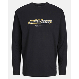 Product JACK&JONES JORVESTERBRO NEWTON BRANDING TEE LS CN base image