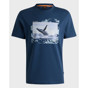 Product BORA Te_Dunetrace 10262528 01 base image