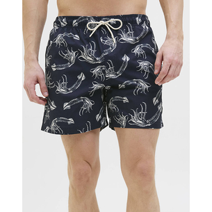 Product JACK&JONES JPSTMAUI JJSWIM MATURE AOP AKM SN base image