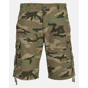 Product JACK&JONES JPSTCOLE BARKLEY CARGO SHORTS MID SN base image