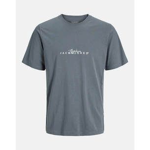 Product JACK&JONES JORVARENNA BRANDING TEE SS CREW NECK base image