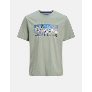 Product JACK&JONES JJCOLTON PHOTOPRINT TEE SS CREW NECK base image
