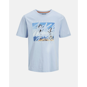 Product JACK&JONES JJCOLTON PHOTOPRINT TEE SS CREW NECK base image