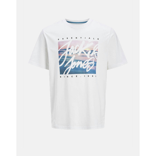 Product JACK&JONES JJCOLTON PHOTOPRINT TEE SS CREW NECK base image