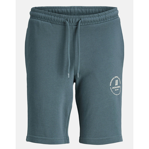 Product JACK&JONES JPSTSWIFT SWEAT SHORTS AUT SN JNR base image