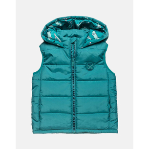 Product ALOUETTE VEST JACKET base image
