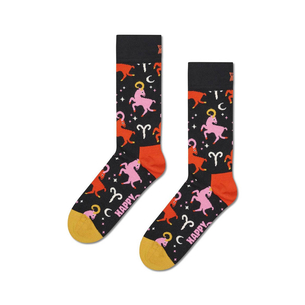 Product HAPPY SOCKS Aries Sock base image