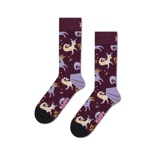 Product HAPPY SOCKS Capricorn Sock base image