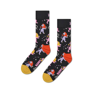 Product HAPPY SOCKS Leo Sock base image