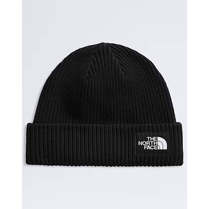 Product THE NORTH FACE SALTY LINED BEANIE base image