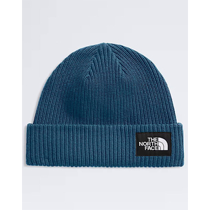 Product THE NORTH FACE SALTY LINED BEANIE base image