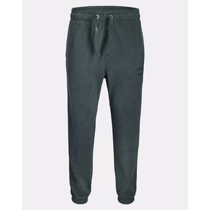 Product JACK&JONES JPSTKANE BLEECKER SWEAT PANTS BF base image